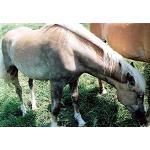 babs 18 monate.jpg